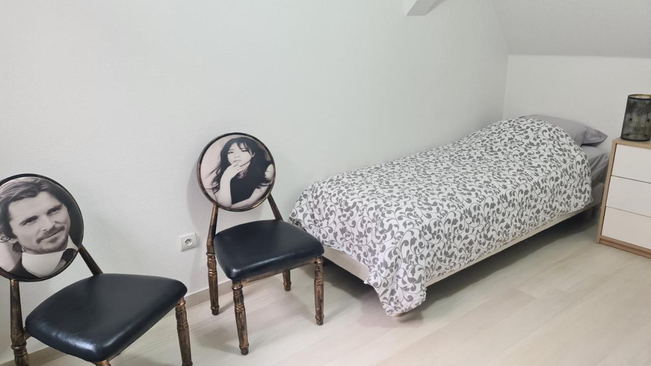 Apartament Selestat Entre Colmar Et Strasbourg Zewnętrze zdjęcie